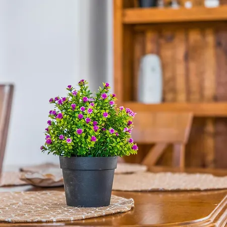 아파트 Cozy Tirso House 또레비에하
